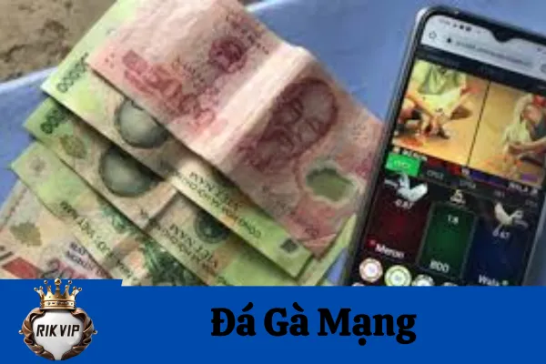 Đá Gà Mạng